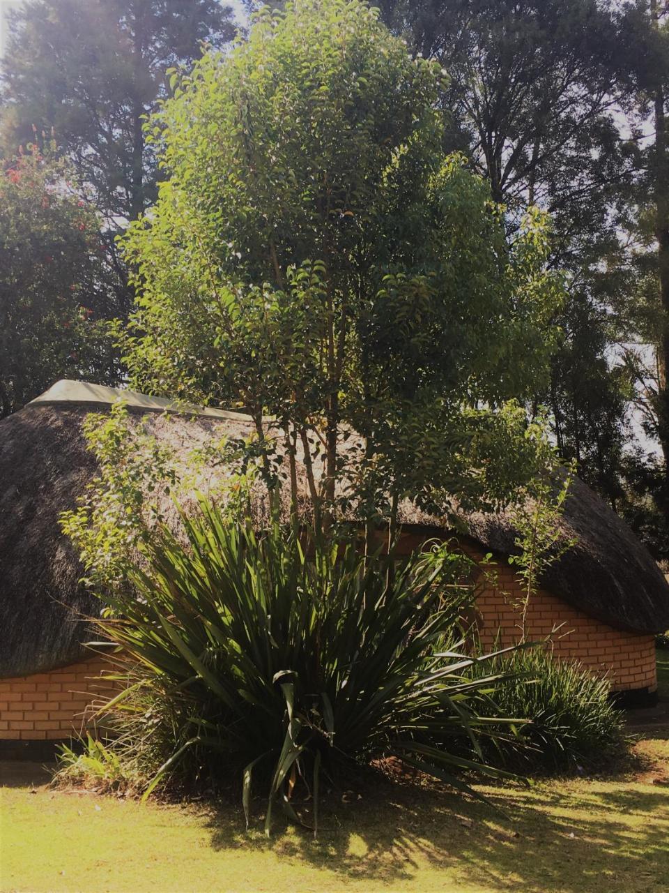 Summit Lodge Graskop Buitenkant foto